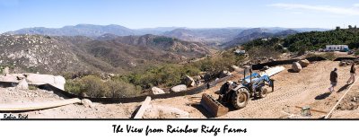 View from Rainbow Ridge