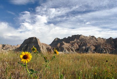 Badlands Morning