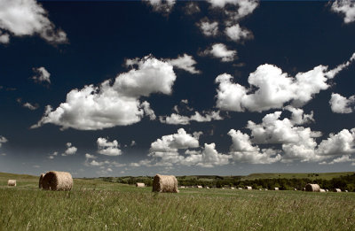 North Dakota Summer Day