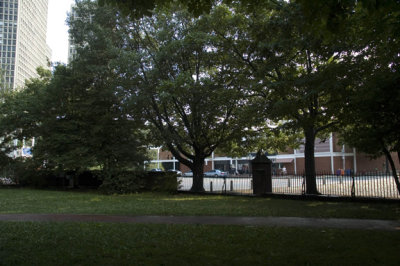 DSC_0020.jpg