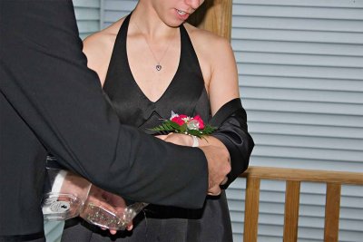 CRW_2700.jpg
