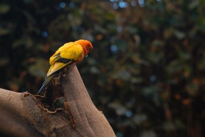 070203-13-Biodome Montreal.jpg