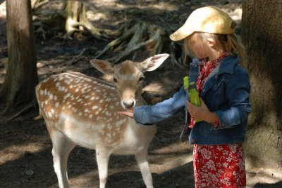 070819-19-Parc Safari.jpg