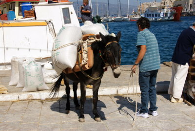 071001-029-Iles Grecques-Hydra.jpg