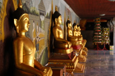 Buddhas in a row