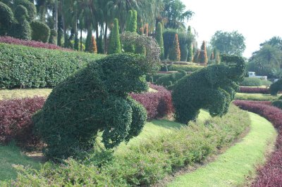 topiary elephants...