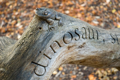 Carved Log