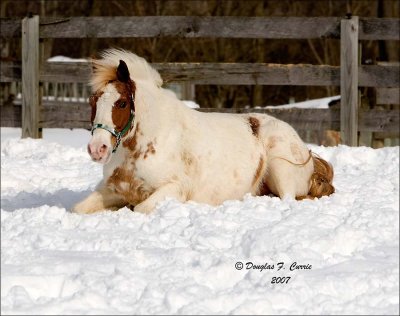 Relaxing in the Snow