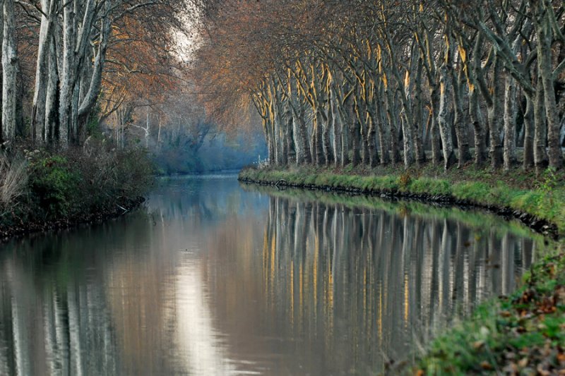 canal du midi   toulouse