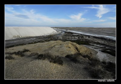 les salins