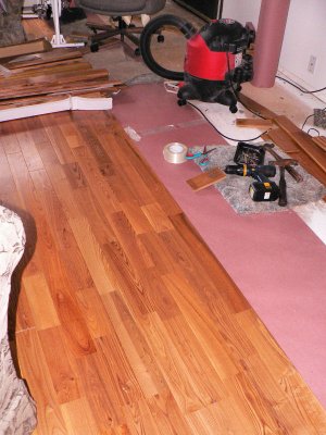 Wood Floor 4.jpg