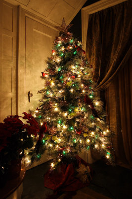 xmas 2006 foyer tree 001.jpg