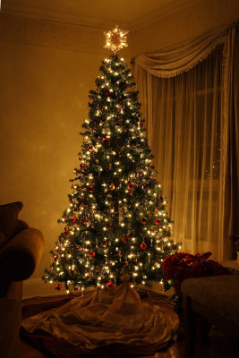 xmas 2006 front room tree 001.jpg