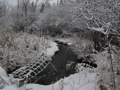 Stony_Swamp_20070325-IMG_0133.JPG