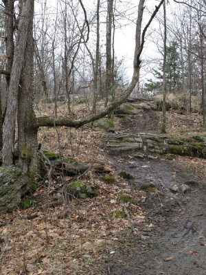 Huntmar_20070325-IMG_0153.JPG