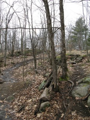 Huntmar_20070325-IMG_0155.JPG