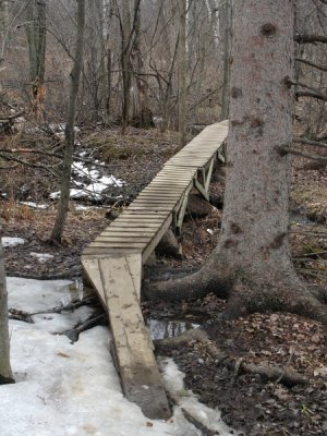 Huntmar_20070325-IMG_0156.JPG