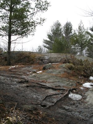Huntmar_20070325-IMG_0157.JPG