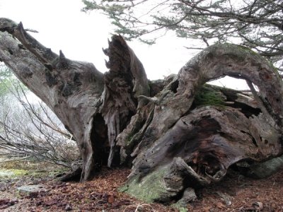 Huntmar_20070325-IMG_0158.JPG