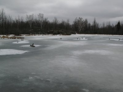 Huntmar_20070325-IMG_0160.JPG