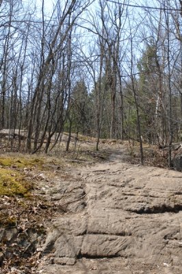 Huntmar-20070422-HUN_7231.JPG