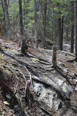 Huntmar-20070422-HUN_7240.JPG