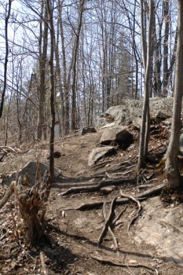 Huntmar-20070422-HUN_7250.JPG