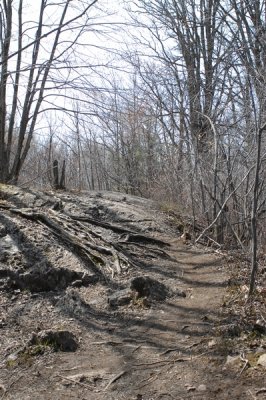Huntmar-20070422-HUN_7257.JPG