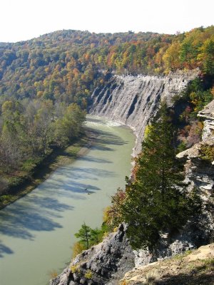 The Genesee River from Tea Table overlook