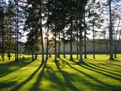 Hemlock Lake Park