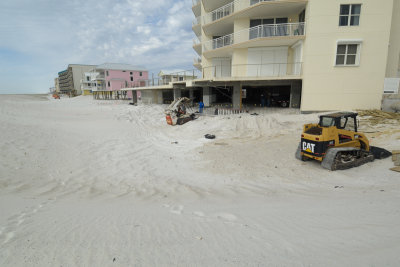 Navarre Beach Dune