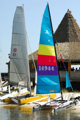 KWW_1495.jpg