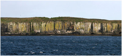 120_124-Enderby-Island.jpg