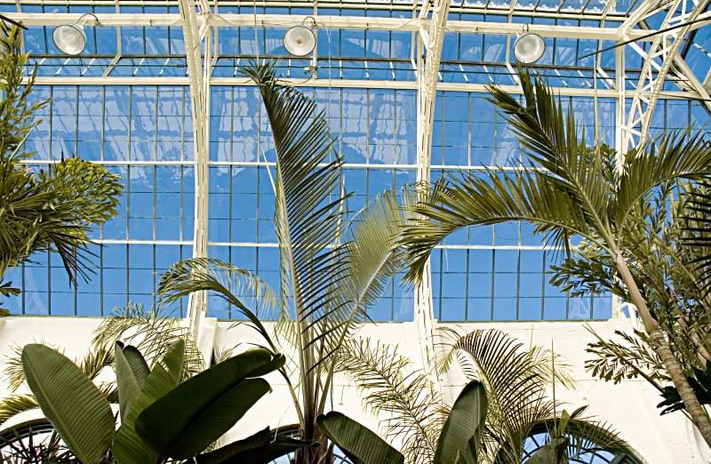 greenhouse2.jpg
