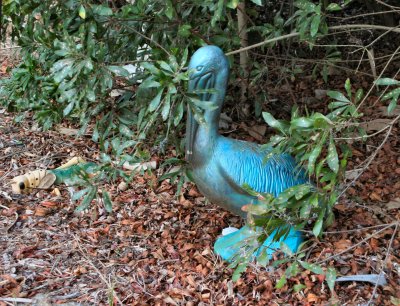 blue pelican.jpg