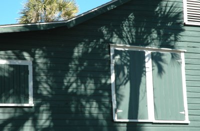 green house with palmetto shadows.jpg