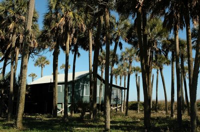 green house late afternoon.jpg