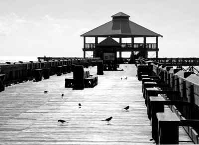 birds on the pier.jpg