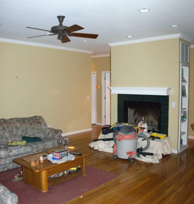 living room with fan.jpg