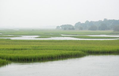 from the bridge at Crosby's