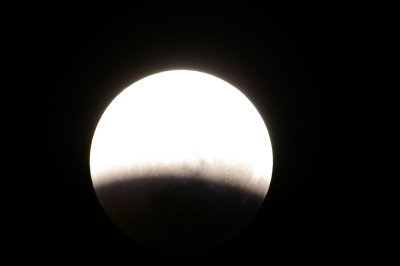 IMGP1304.JPG