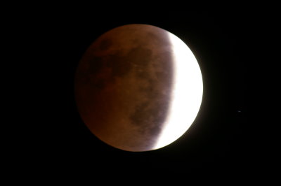 IMGP1450.JPG