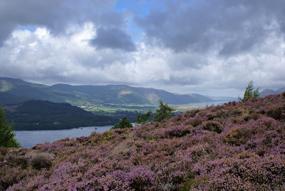 g6/33/621933/3/75984955.0ytT0P7D.jpg