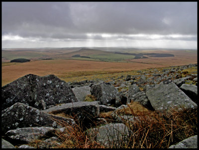 Bodmin Moor #11.jpg