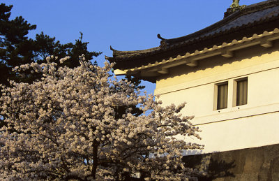 Imperial Palace