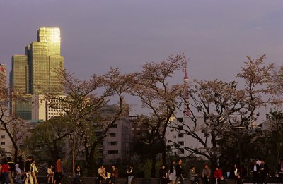 Tokyo Midtown Park