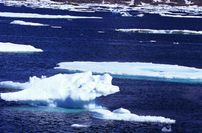 Icebergs 2