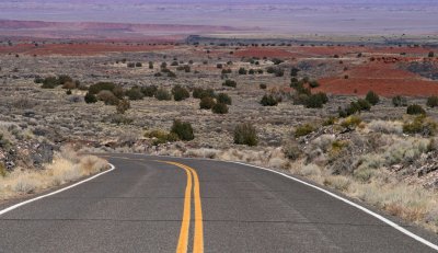 Road Into the Painted Desert