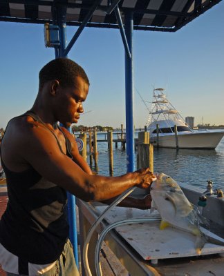 Cleaning the catch