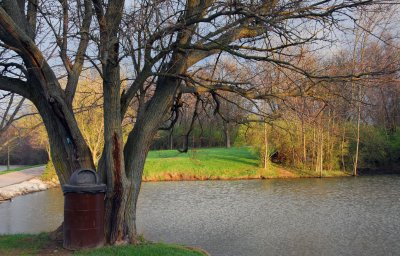 A Walk in the Park